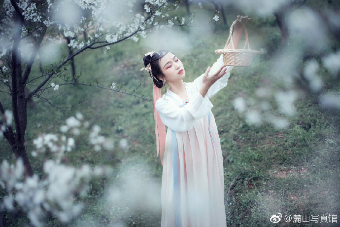 清纯美女樱花树下古装写真图片 8