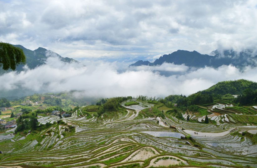 浙江丽水云和梯田自然风景图片