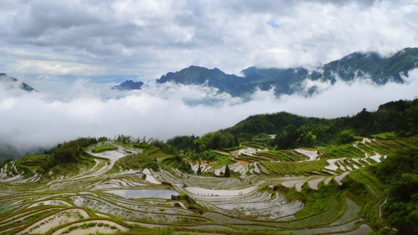 浙江丽水云和梯田自然风景图片 3
