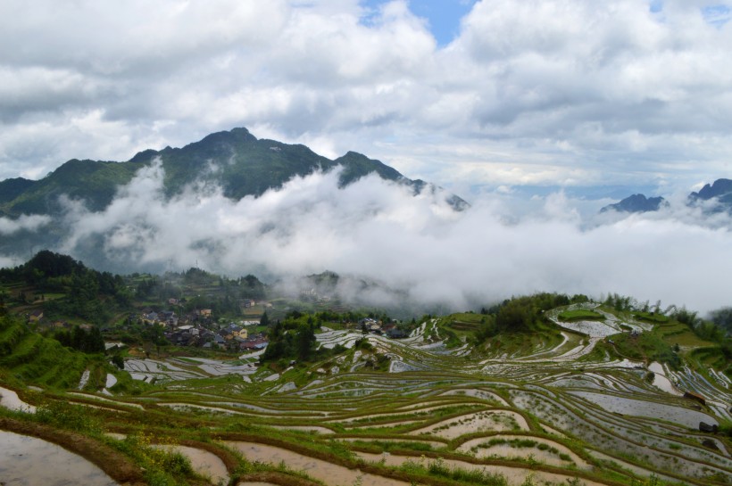 浙江丽水云和梯田自然风景图片 4