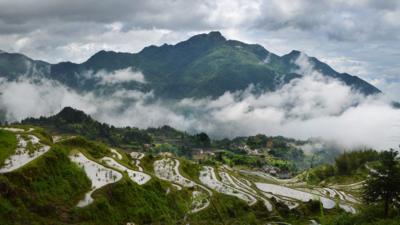 浙江丽水云和梯田自然风景图片 6
