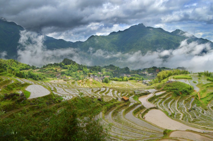 浙江丽水云和梯田自然风景图片 7
