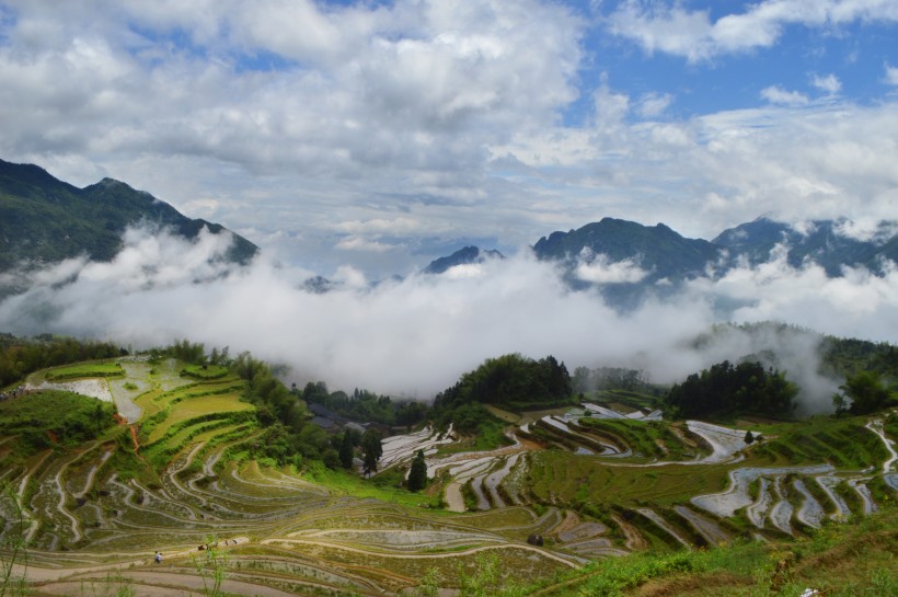 浙江丽水云和梯田自然风景图片 8