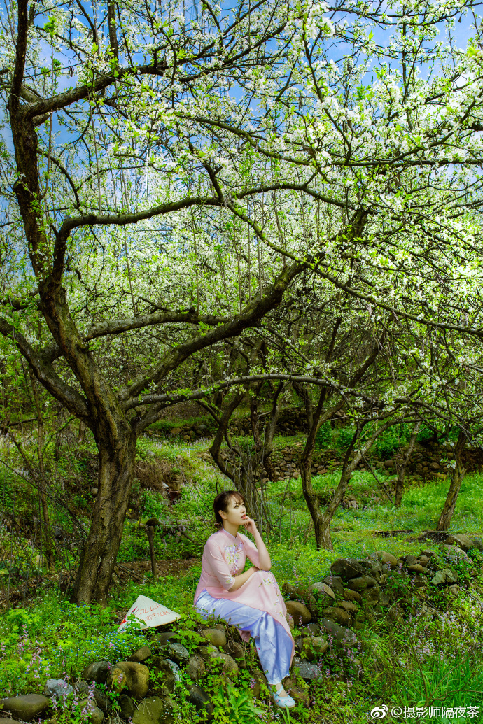 民国造型旗袍美女图片 5