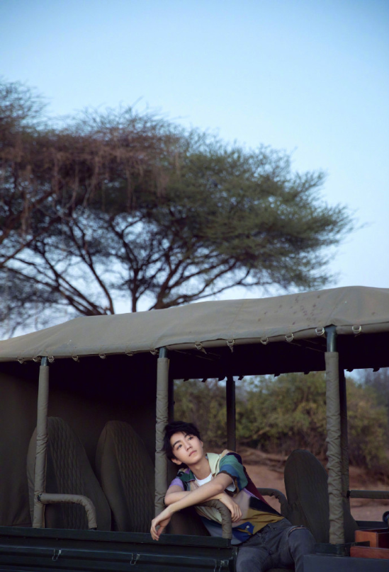 小鲜肉tfboys王俊凯与动物写真图片 2