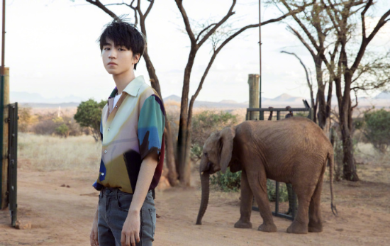 小鲜肉tfboys王俊凯与动物写真图片 3