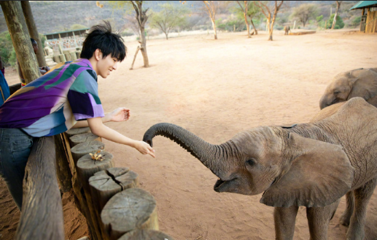 小鲜肉tfboys王俊凯与动物写真图片 4