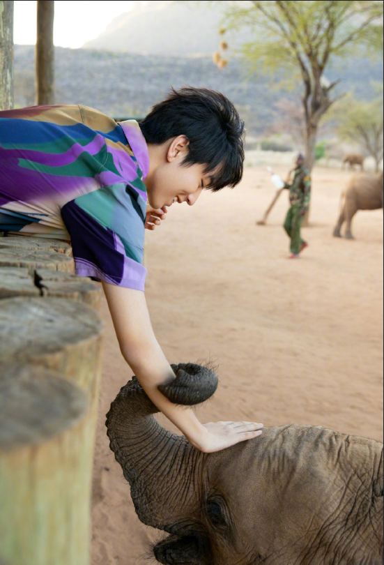 小鲜肉tfboys王俊凯与动物写真图片 5