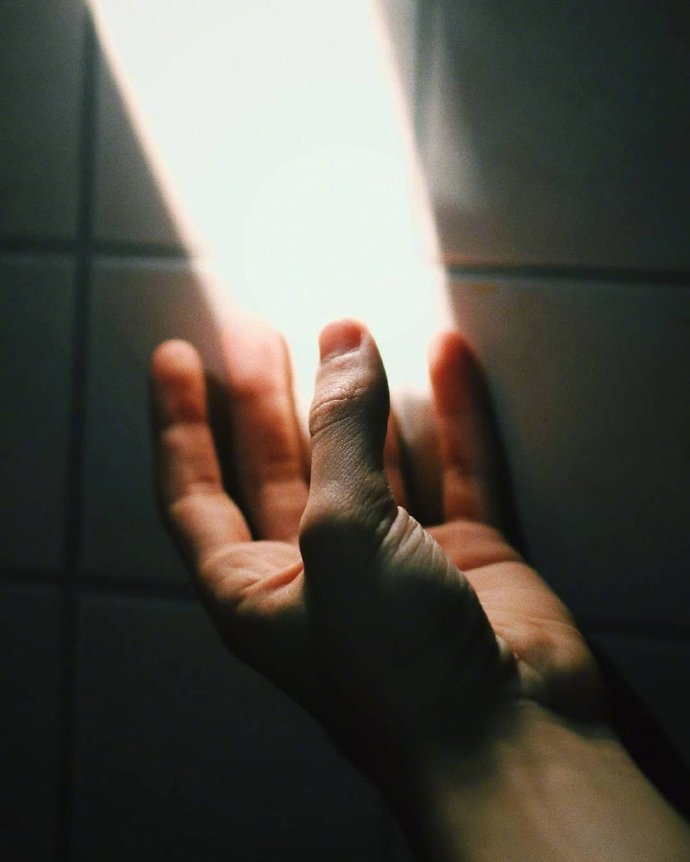 手中的清晨阳光图片