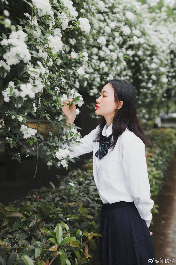 清纯小美女花海写真图片 2