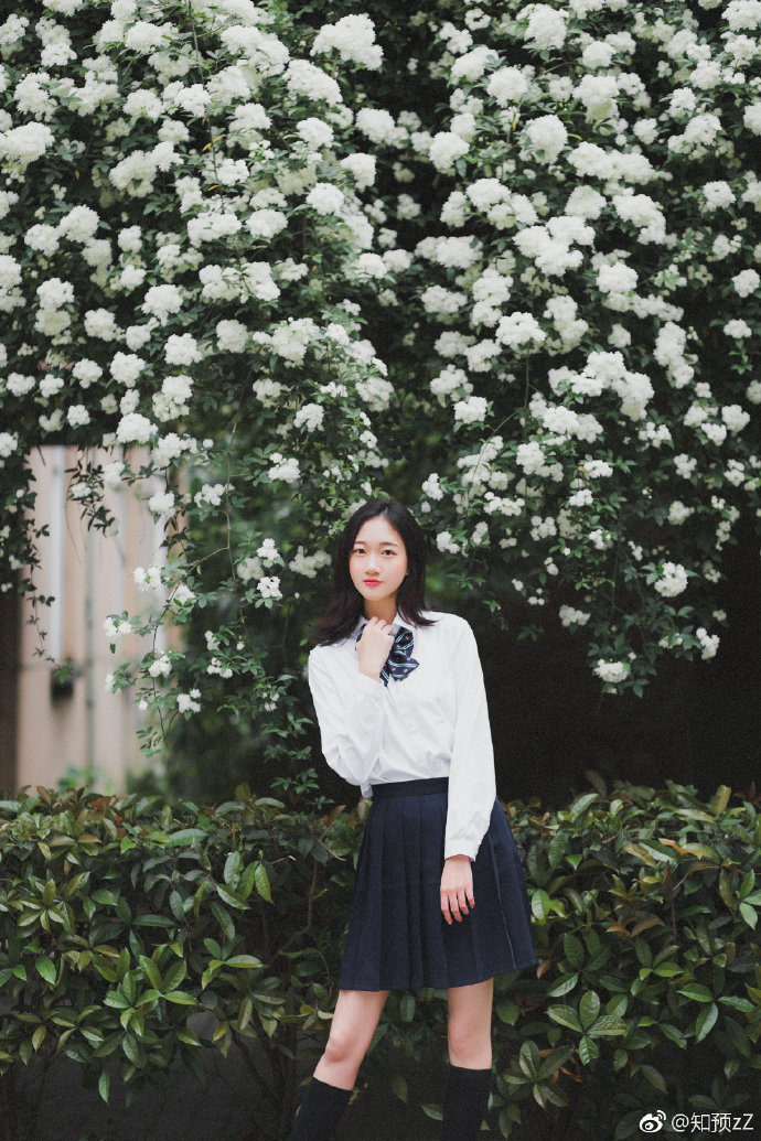 清纯小美女花海写真图片 3