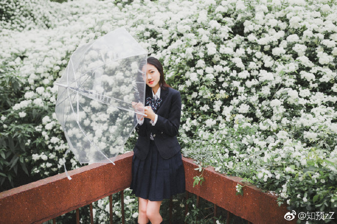 清纯小美女花海写真图片 7
