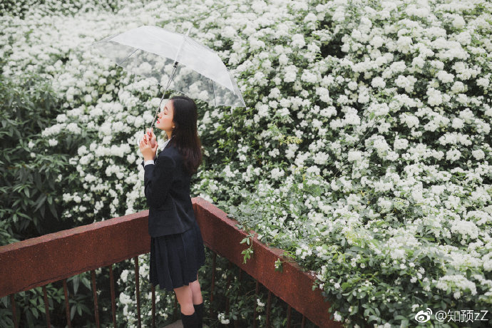 清纯小美女花海写真图片 8