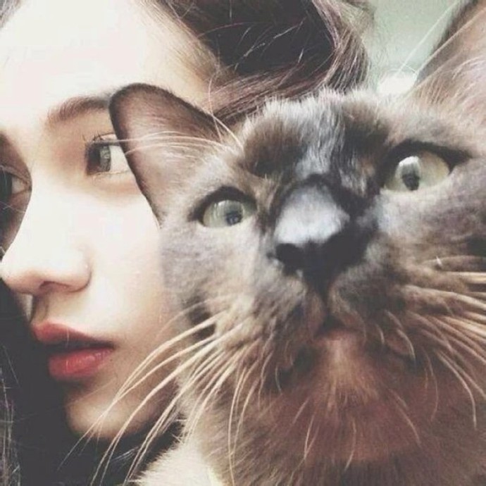 猫系小可爱清纯美女图片 7