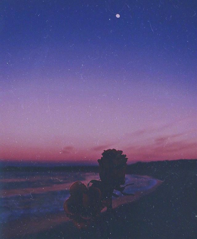 唯美夜晚风景图片 日子不是用来将就的