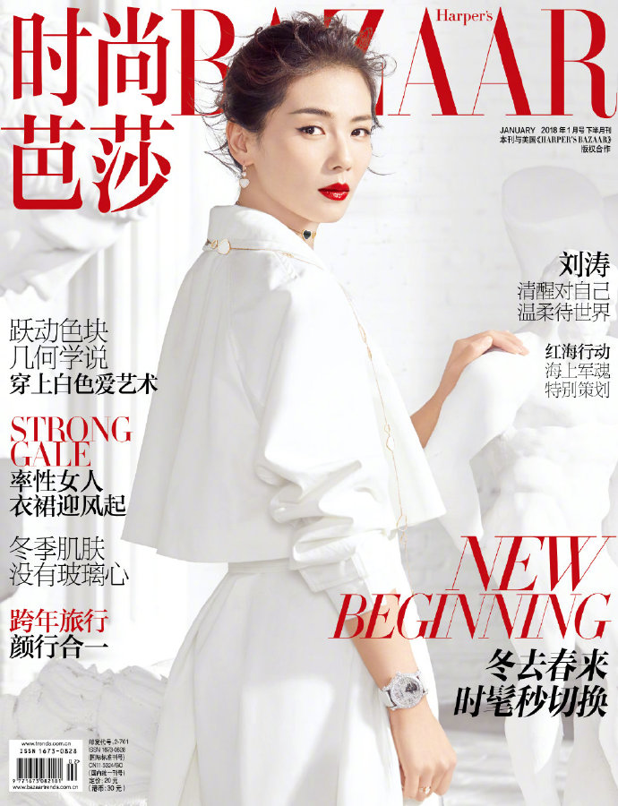 江西美女图片 气质美女刘涛封面图片 5