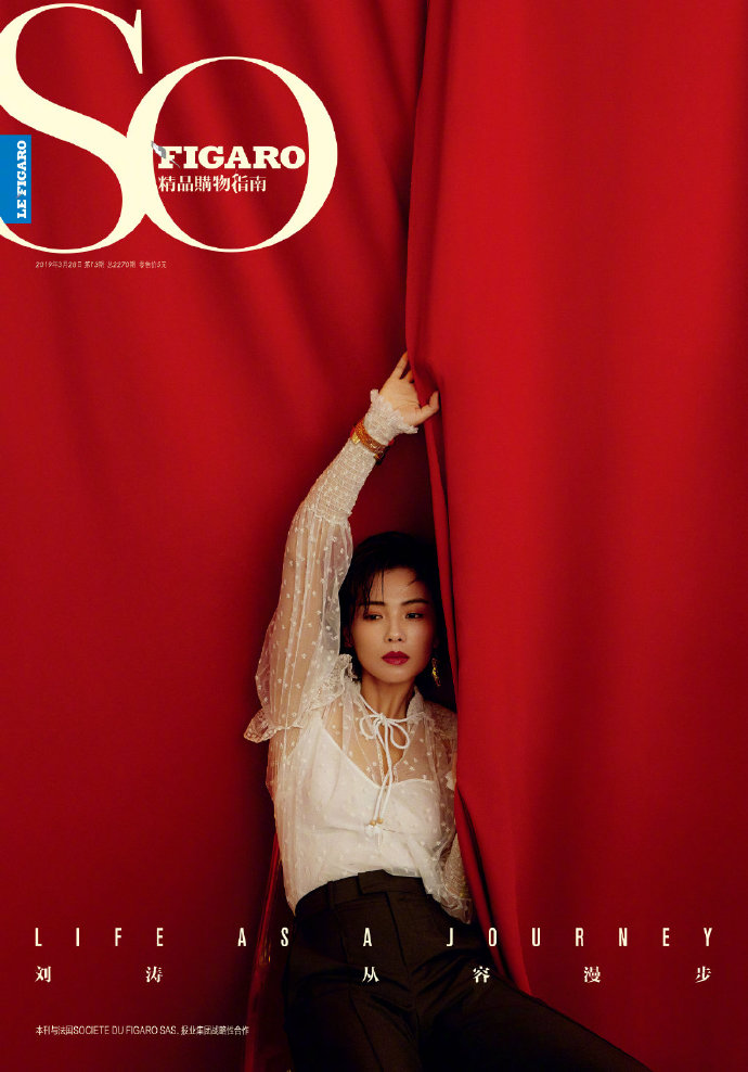 江西美女图片 气质美女刘涛封面图片 6