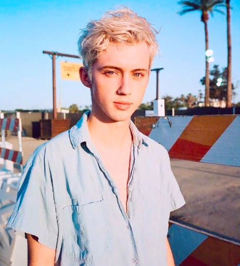 欧美男星Troye Sivan帅气图片 3
