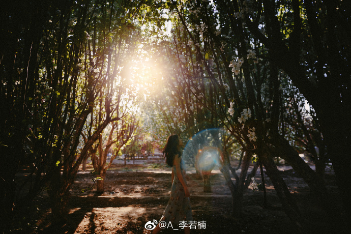 唯美意境清纯美女写真图片 7