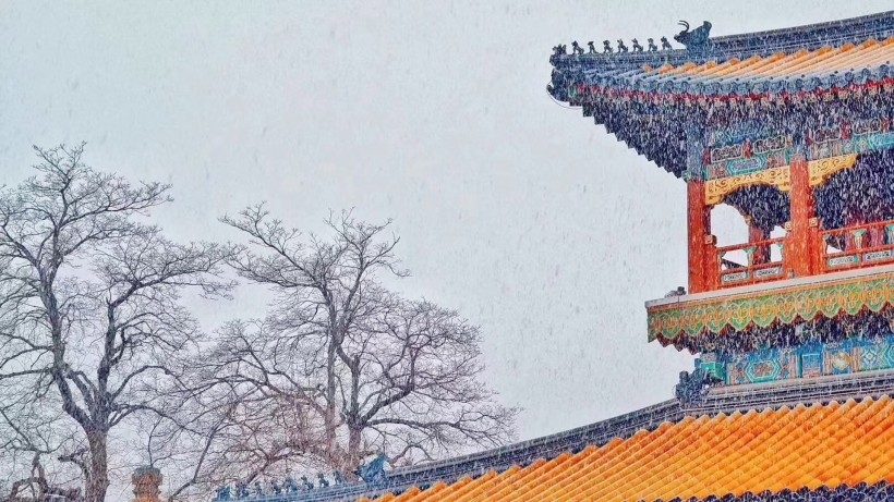 故宫雪景图片 4