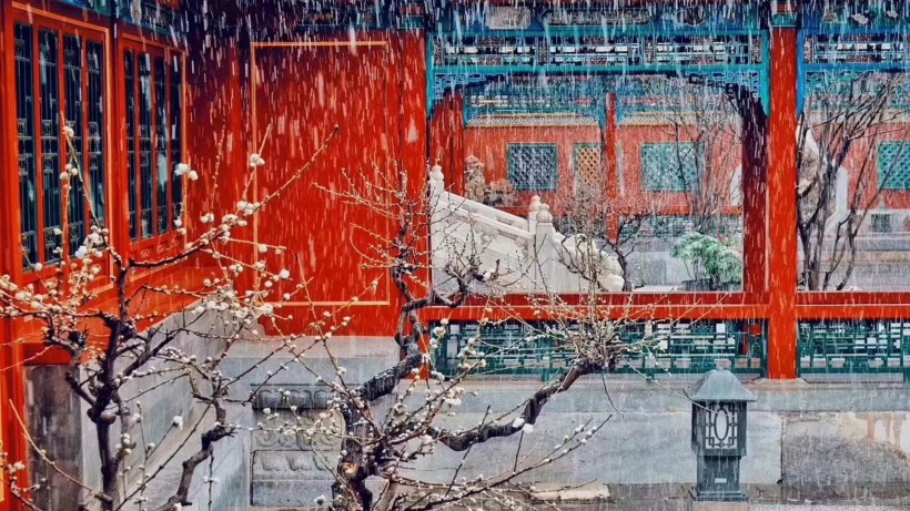 故宫雪景图片 5