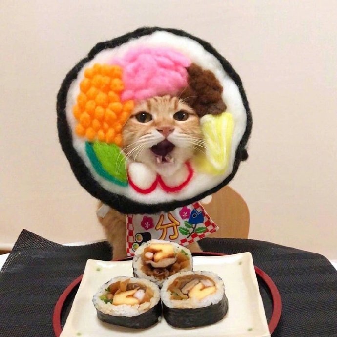 今天可爱的橘猫图片 7