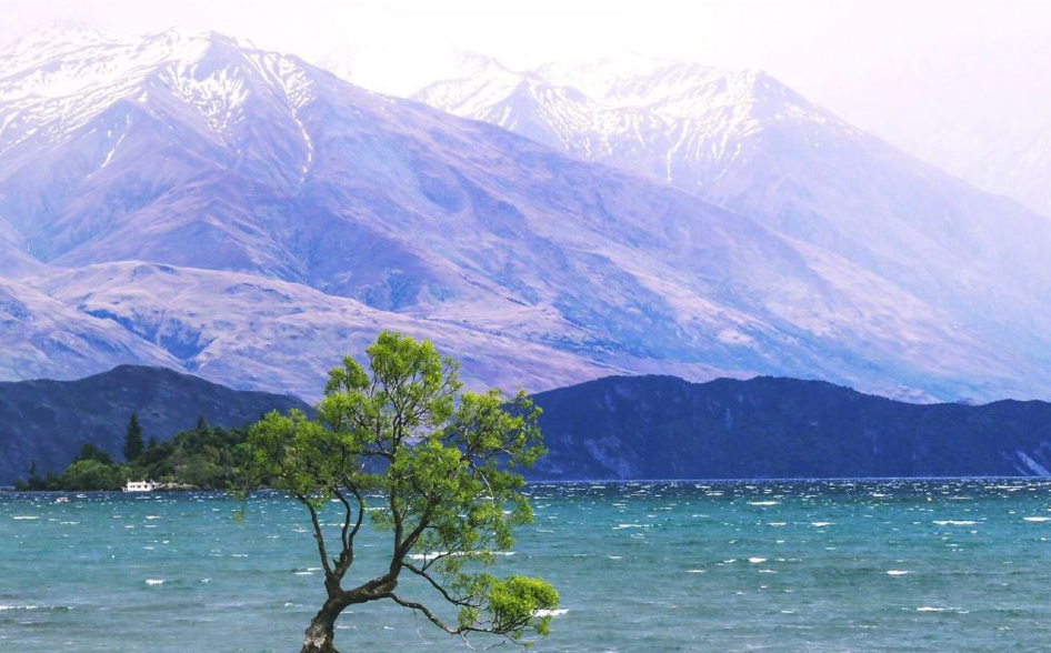 瓦纳卡湖自然风景图片 5