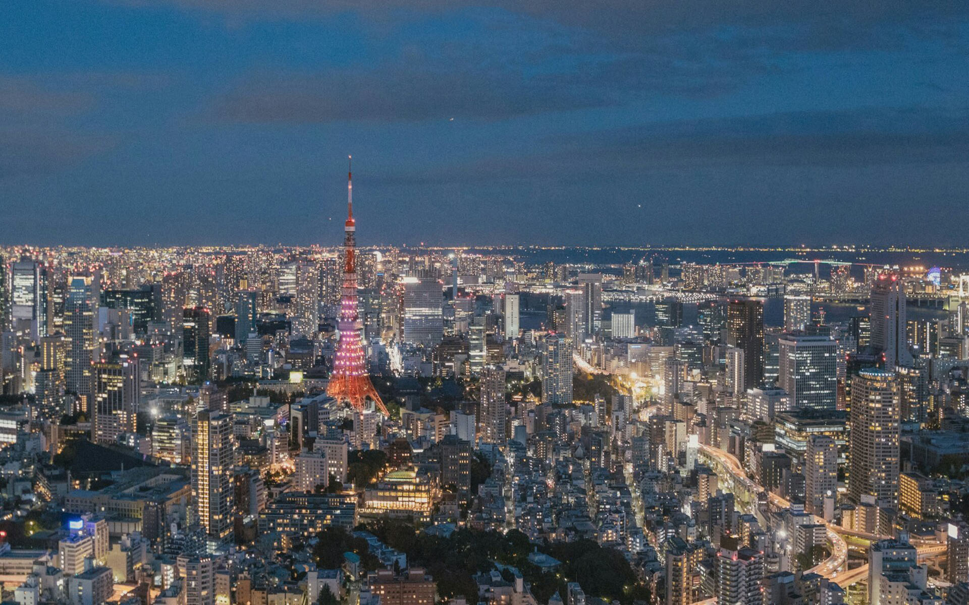 唯美城市夜景风景图片 7