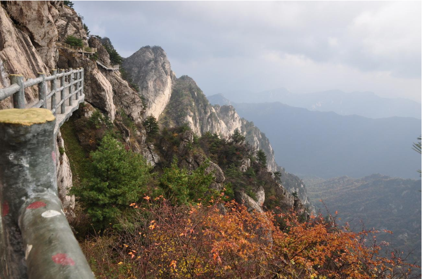老君山风景区图片 5