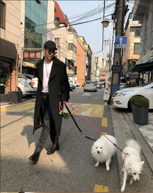 加拿大华裔男明星Henry刘宪华图片 4