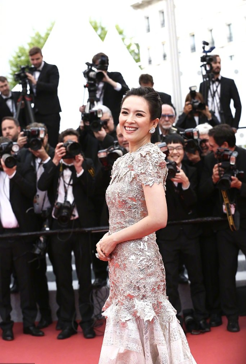 中国美女明星章子怡亮相戛纳电影节红毯图片 4