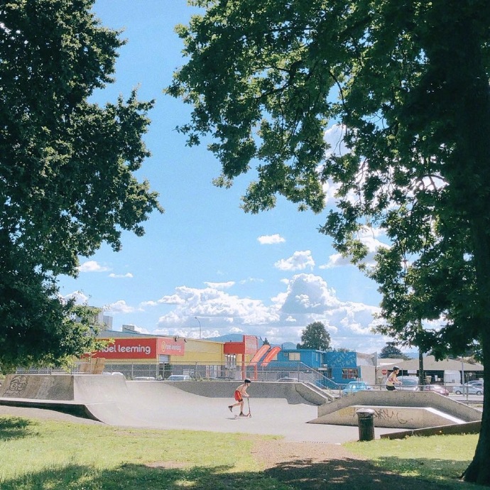 夏天的风景图片
