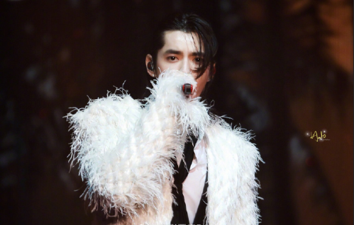 小鲜肉男明星吴亦凡重庆演唱会美图 2