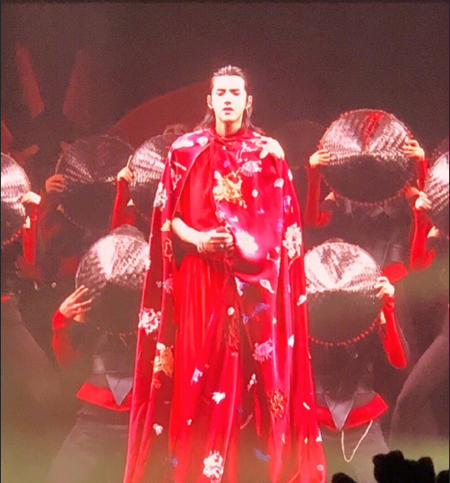 小鲜肉男明星吴亦凡重庆演唱会美图 4