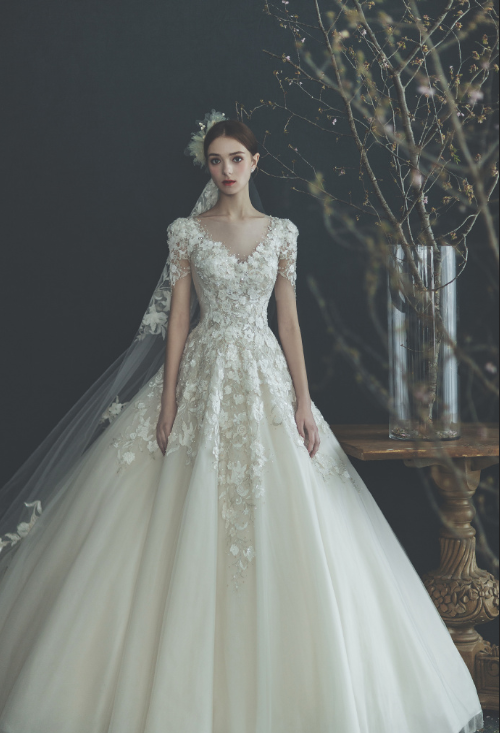 韩国品牌Clara Wedding2019超美婚纱图片