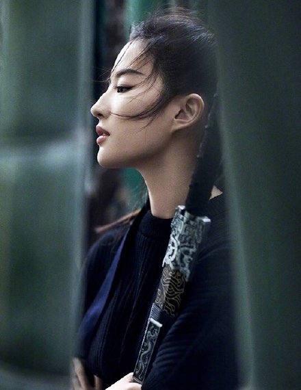 中国美女图片 内地女星刘亦菲成为Emporio Armani代 6