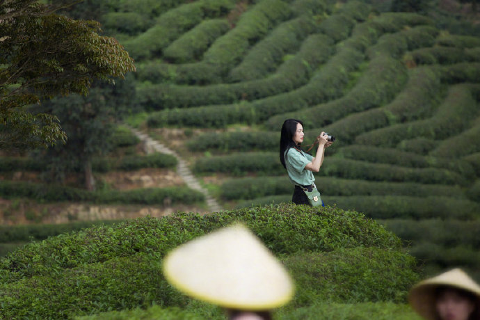 中国美女图片 女演员姚晨武夷山写真清新自然图 8