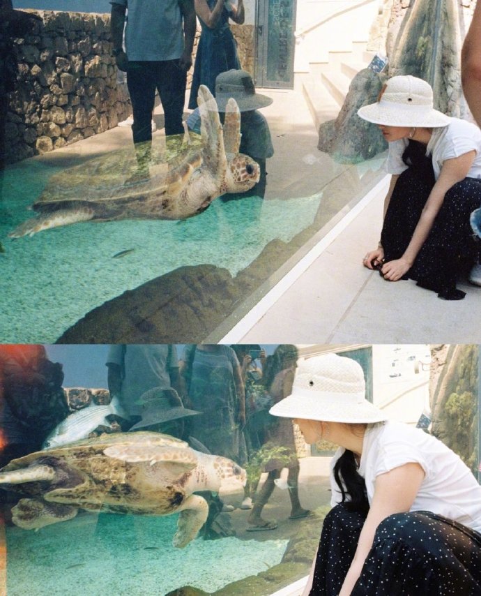 中国美女图片 神仙小姐姐刘亦菲夏日胶片写真 9