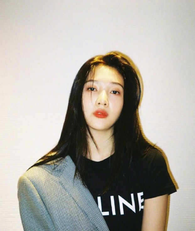 韩国美女图片 港风美人Joy朴秀荣复古图片 4