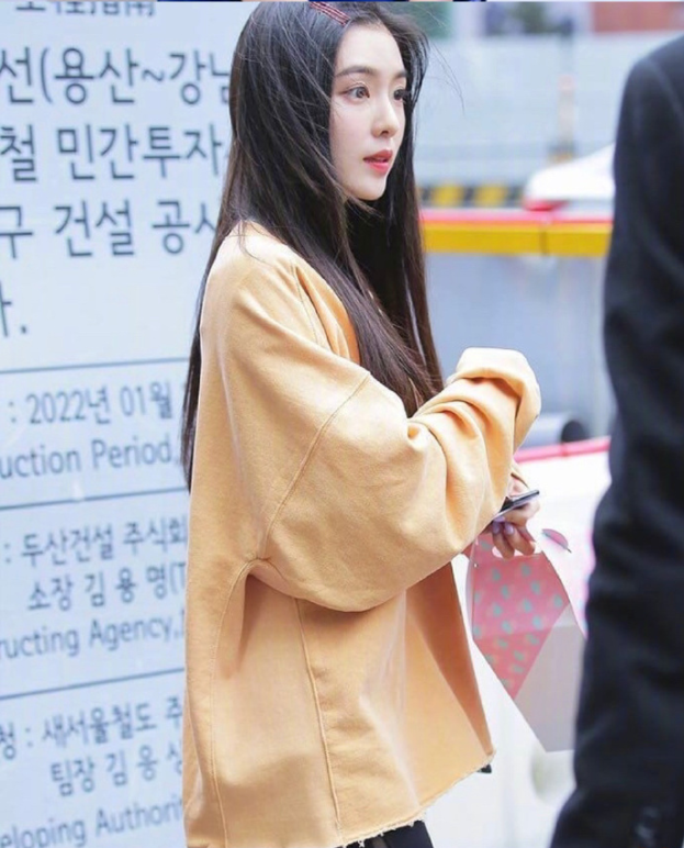 韩国美女图片 女团成员裴珠泫Irene图片 5