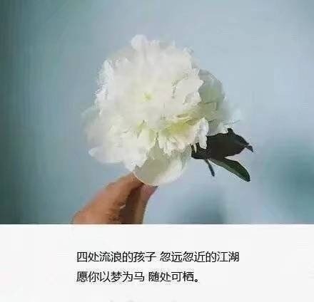 唯美心寒的句子 偶尔被需要 从来不重要