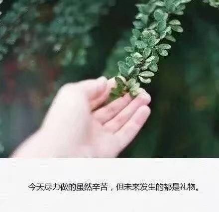 唯美心寒的句子 偶尔被需要 从来不重要 2