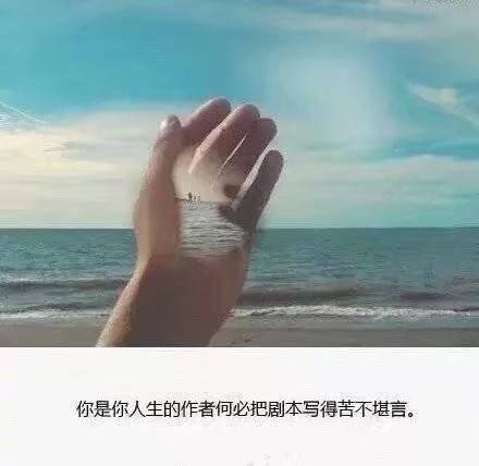 唯美心寒的句子 偶尔被需要 从来不重要 5