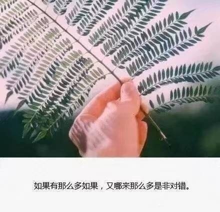 唯美心寒的句子 偶尔被需要 从来不重要 6