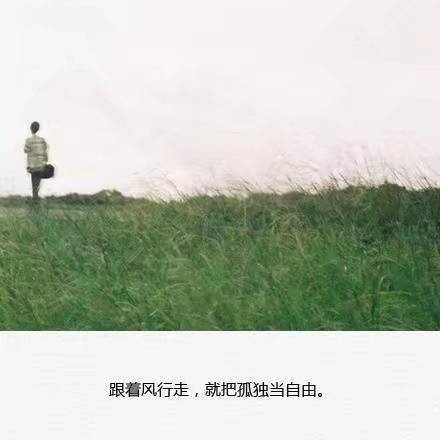 唯美心寒的句子 偶尔被需要 从来不重要 7