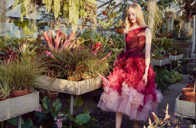 时装Marchesa Pre-Fall2019浪漫花裙礼服图片 13