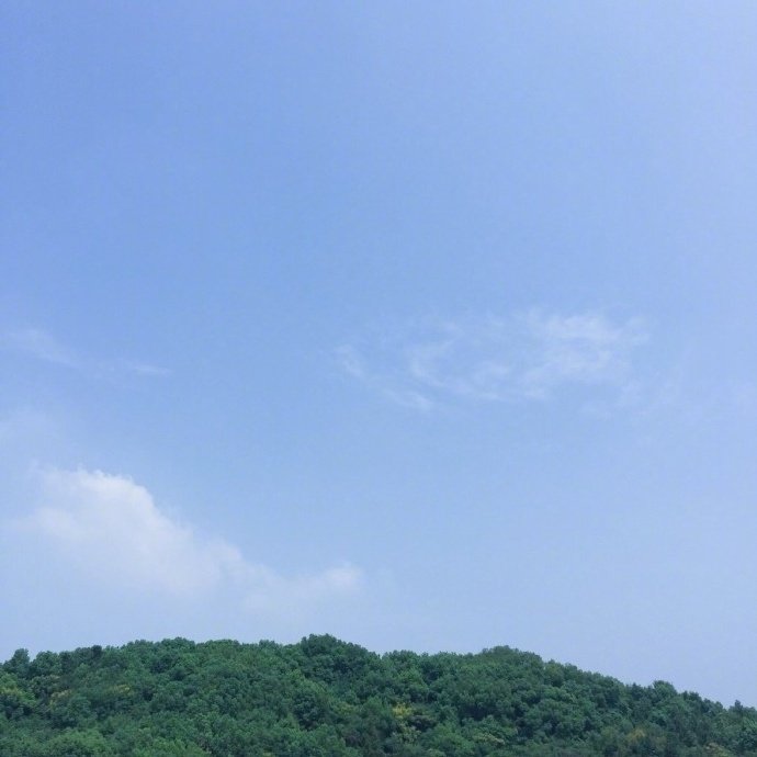 小清新头像女生图片 女生背影头像图片 5