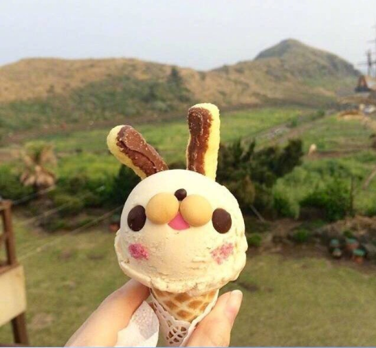 济州岛chichipong的兔子冰淇淋图片