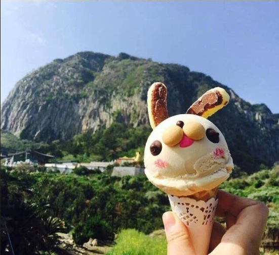 济州岛chichipong的兔子冰淇淋图片 2