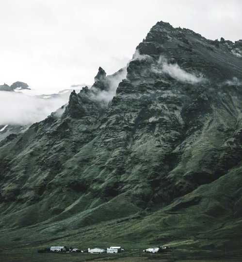 绿色森林图片 暮色森林风景图片 5